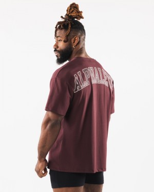 Camasa Barbati Alphalete Collegiate Visinii | 205143-QCU