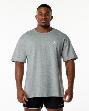 Camasa Barbati Alphalete Emblem Gri | 301678-WGJ