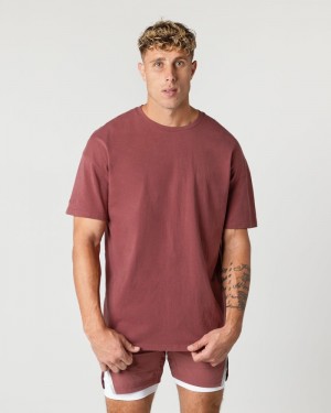Camasa Barbati Alphalete Heavy Bumbac Core Roz | 327019-BLU