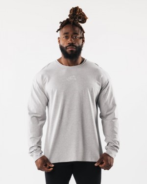 Camasa Barbati Alphalete Wolf Head LS Gri | 638092-UZY