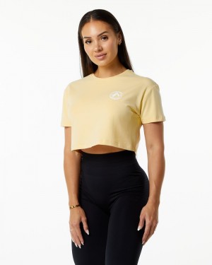 Camasa Dama Alphalete Dynasty Crop Bej | 851279-XIZ