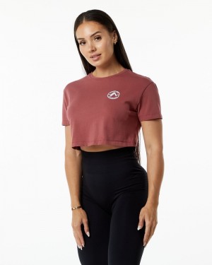 Camasa Dama Alphalete Dynasty Crop Visinii | 083916-RJX