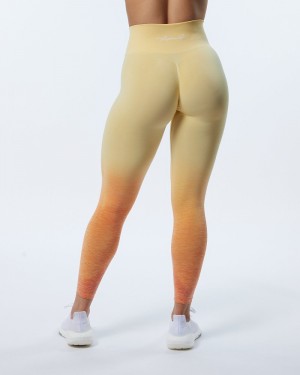 Colanti Dama Alphalete Ombre Amplify Portocalii | 034896-XRQ