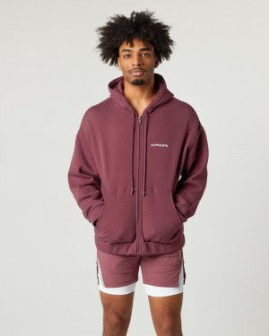Geaca Barbati Alphalete Clasici Full-Zip Visinii | 075261-ZQJ