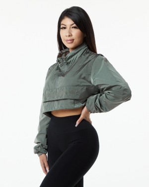 Geaca Dama Alphalete Endure Crop Gri | 078512-OKQ