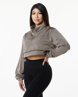Geaca Dama Alphalete Endure Crop Maro | 487902-DJI