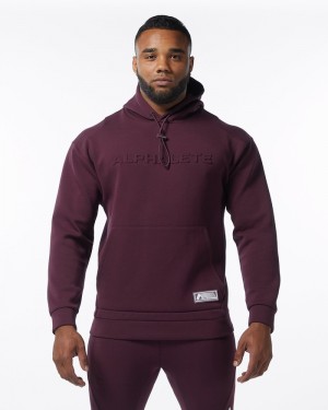 Hanorac Cu Gluga Barbati Alphalete ELMTS Visinii | 876492-PFA