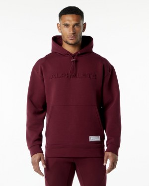 Hanorac Cu Gluga Barbati Alphalete ELMTS Visinii | 653291-CGS