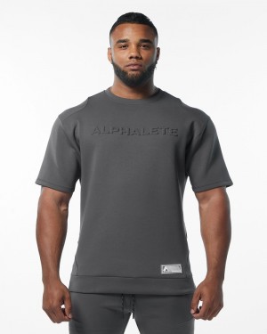 Hanorace Barbati Alphalete ELMTS Half Sleeve Pullover Gri | 429631-VDW