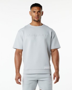 Hanorace Barbati Alphalete ELMTS Half Sleeve Pullover Gri | 935108-BJW
