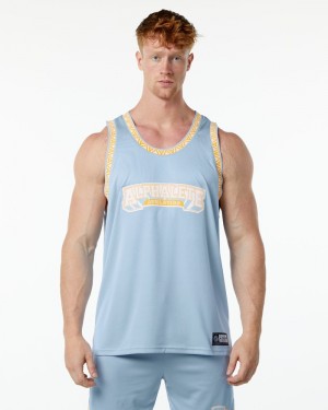 Maiouri Barbati Alphalete Varsity Basketball Jersey Albastri Deschis | 849351-DRM