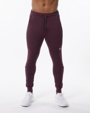 Pantaloni Jogger Barbati Alphalete ELMTS Cuffed Visinii | 895760-VCD