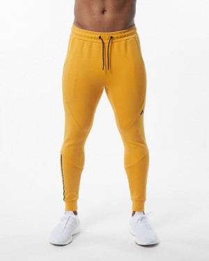 Pantaloni Jogger Barbati Alphalete ELMTS Cuffed Galbeni | 670429-GCN