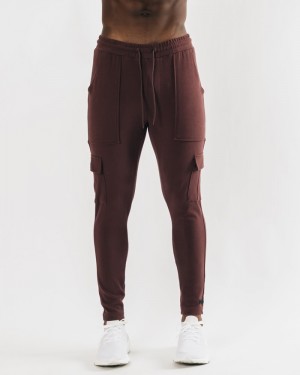 Pantaloni Jogger Barbati Alphalete Identity Cargo Visinii | 761093-APQ