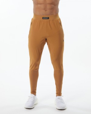 Pantaloni Jogger Barbati Alphalete Infinity Tech Maro | 014627-GFI