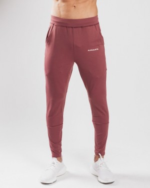 Pantaloni Jogger Barbati Alphalete Trace Violet | 796052-LSM
