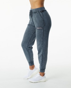 Pantaloni Jogger Dama Alphalete Very Terry Albastri | 714690-JNC