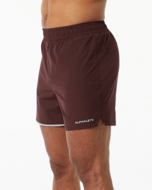 Pantaloni Scurti Barbati Alphalete Core Stride 5” Visinii | 504862-BHR