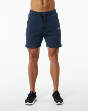 Pantaloni Scurti Barbati Alphalete ELMTS Atletism 6" Bleumarin | 419625-ERW