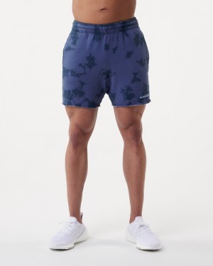 Pantaloni Scurti Barbati Alphalete HCTS 5" Albastri | 719842-OIV