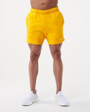 Pantaloni Scurti Barbati Alphalete HCTS 5" Portocalii | 592376-JMR