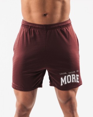 Pantaloni Scurti Barbati Alphalete LDB More Mesh 6” Visinii | 409682-YUH