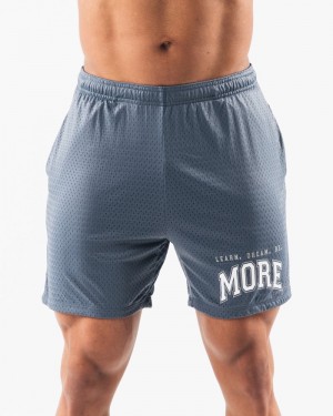 Pantaloni Scurti Barbati Alphalete LDB More Mesh 6” Albastri | 419537-DNX