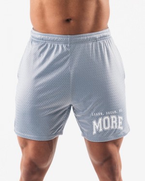 Pantaloni Scurti Barbati Alphalete LDB More Mesh 6” Albastri | 798412-SAK