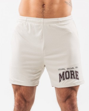 Pantaloni Scurti Barbati Alphalete LDB More Mesh 6" Albi | 970253-GOY