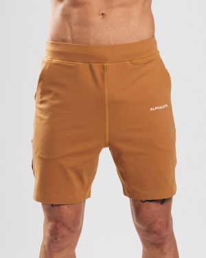Pantaloni Scurti Barbati Alphalete Trace 8" Maro | 973650-BKW