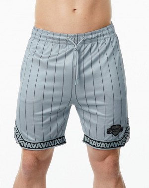 Pantaloni Scurti Barbati Alphalete Varsity Basketball 9" Gri | 951732-HTG