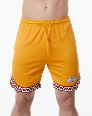 Pantaloni Scurti Barbati Alphalete Varsity Basketball 9" Portocalii | 725463-VAJ