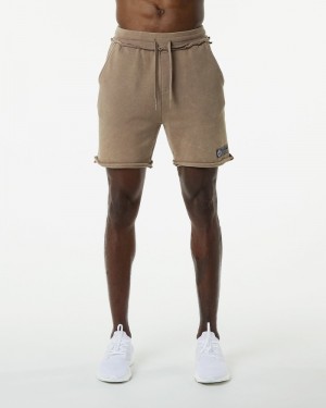 Pantaloni Scurti Barbati Alphalete Very Terry Gri | 470932-MGX
