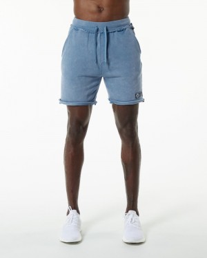 Pantaloni Scurti Barbati Alphalete Very Terry Albastri | 175480-JYC