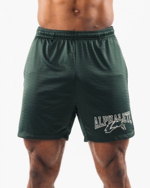 Pantaloni Scurti Barbati Alphalete Wolf Head Mesh 6" Verzi | 196234-SGT