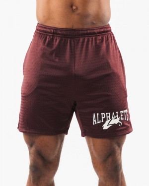 Pantaloni Scurti Barbati Alphalete Wolf Head Mesh 6" Visinii | 891642-JXG
