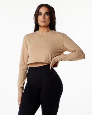 Tricouri Dama Alphalete Core LS Crop Gri Maro | 659871-PVG