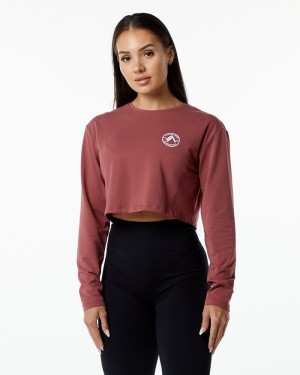 Tricouri Dama Alphalete Dynasty LS Crop Visinii | 867154-TUX