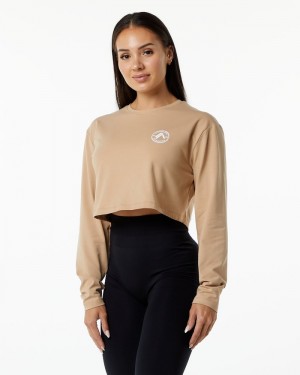 Tricouri Dama Alphalete Dynasty LS Crop Gri Maro | 975284-CDH