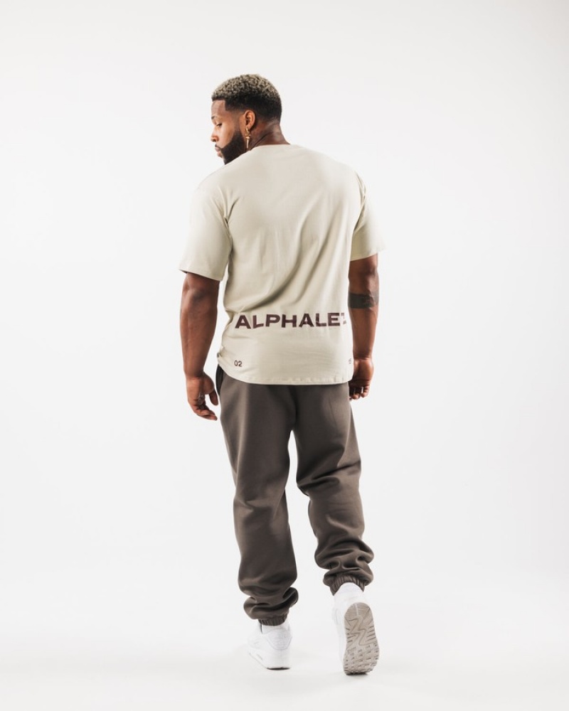 Camasa Barbati Alphalete Brushed Crest Albi | 162378-VUD