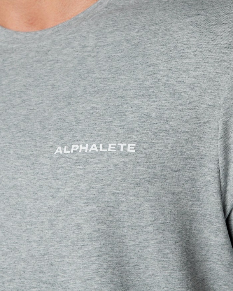 Camasa Barbati Alphalete Clasici Gri | 085371-AQU