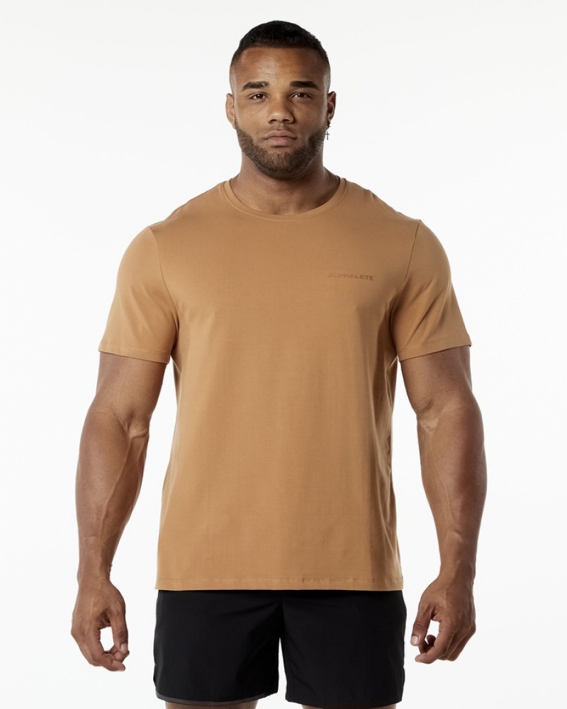 Camasa Barbati Alphalete Clasici Rosii | 576304-NKI