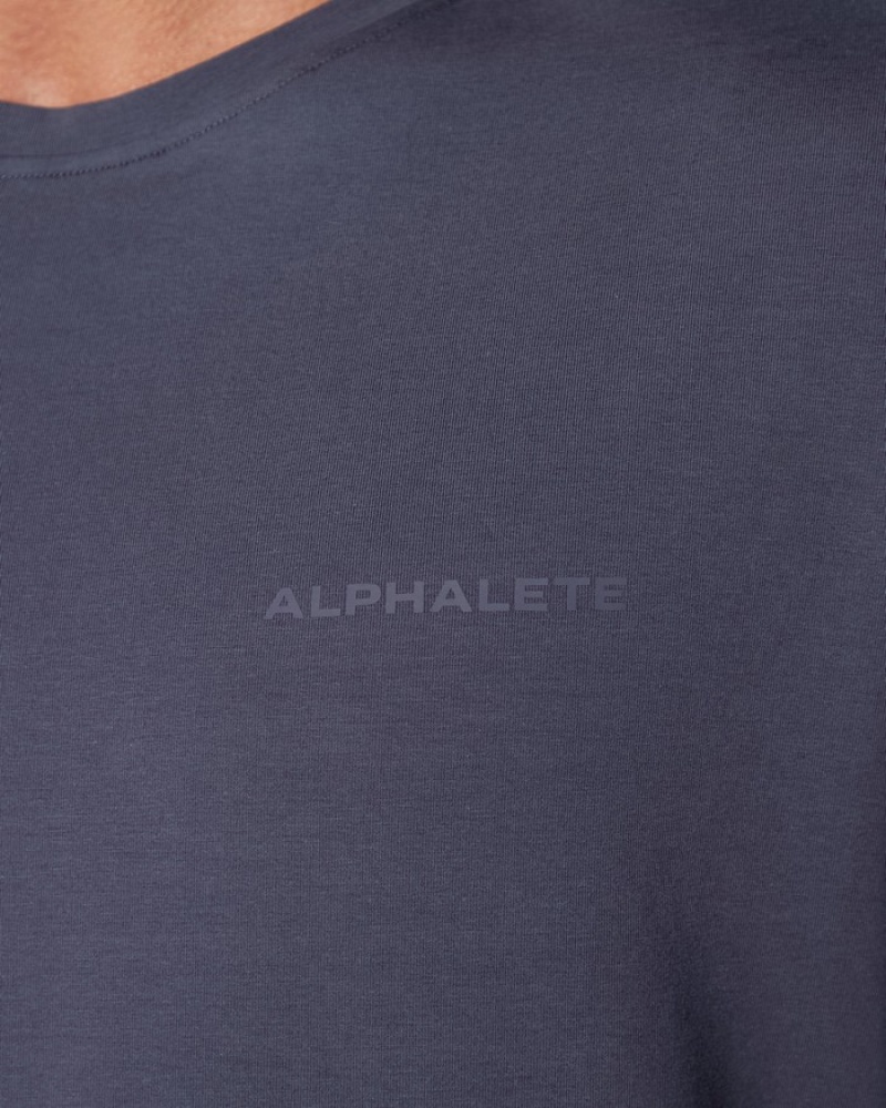 Camasa Barbati Alphalete Clasici Violet | 827304-YXP