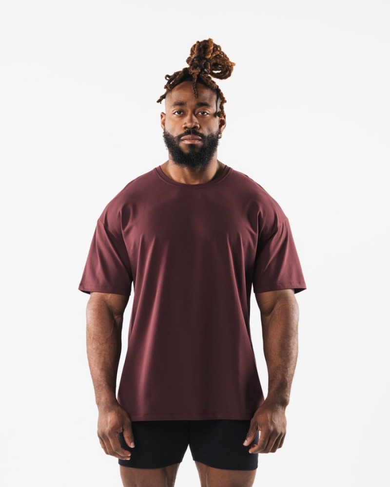 Camasa Barbati Alphalete Collegiate Visinii | 205143-QCU