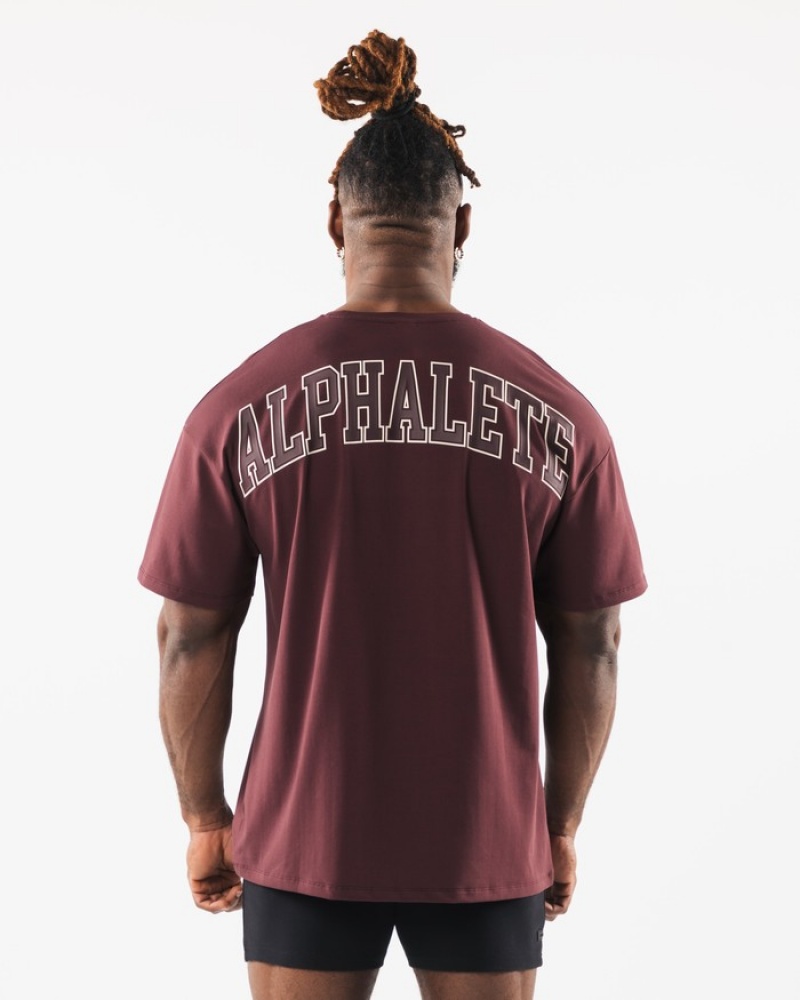 Camasa Barbati Alphalete Collegiate Visinii | 205143-QCU