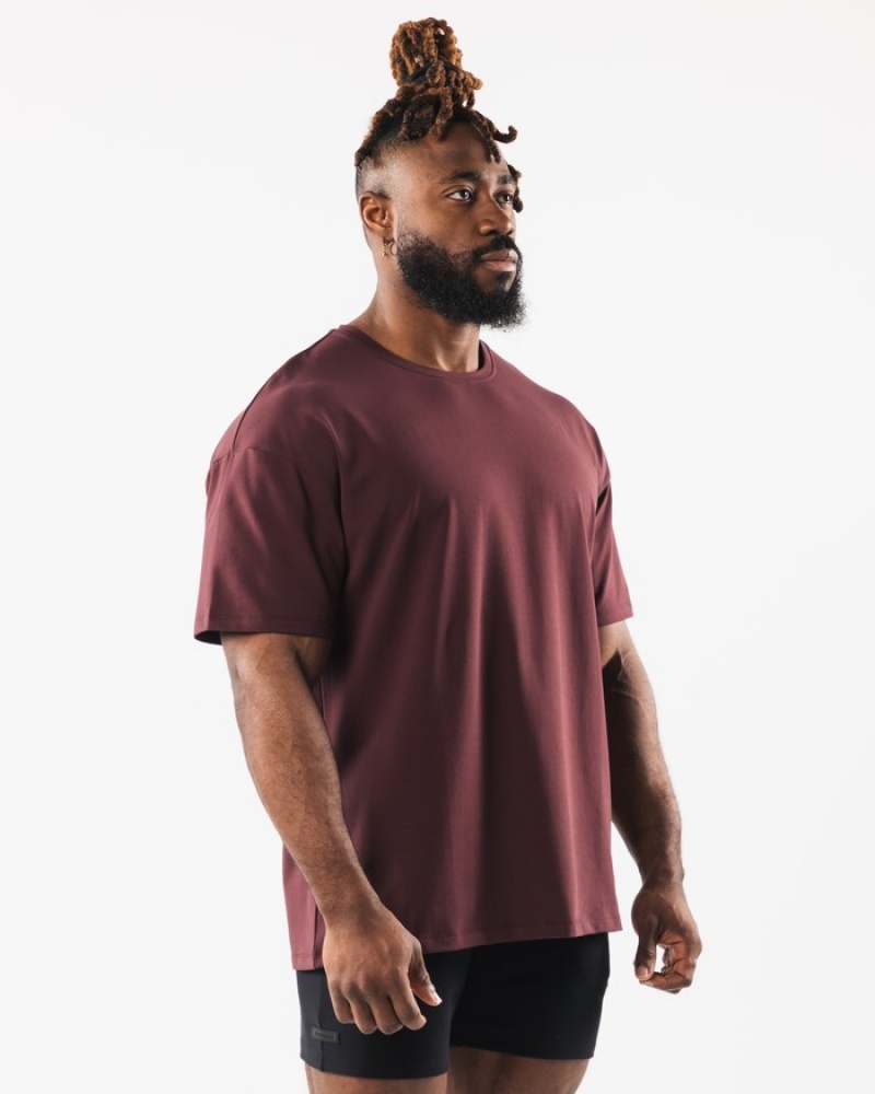 Camasa Barbati Alphalete Collegiate Visinii | 205143-QCU