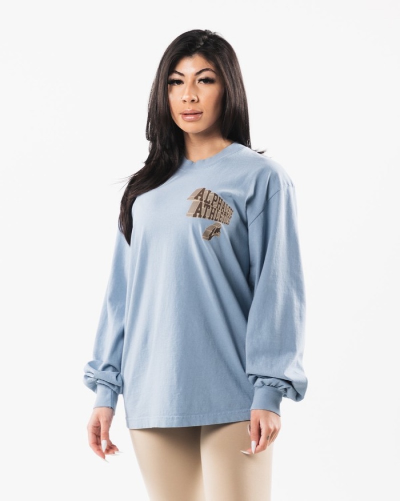 Camasa Barbati Alphalete Dimensional Albastri | 638751-SHR