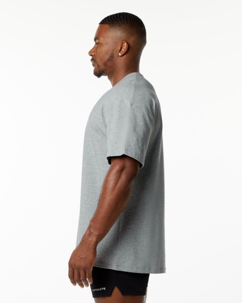 Camasa Barbati Alphalete Emblem Gri | 301678-WGJ