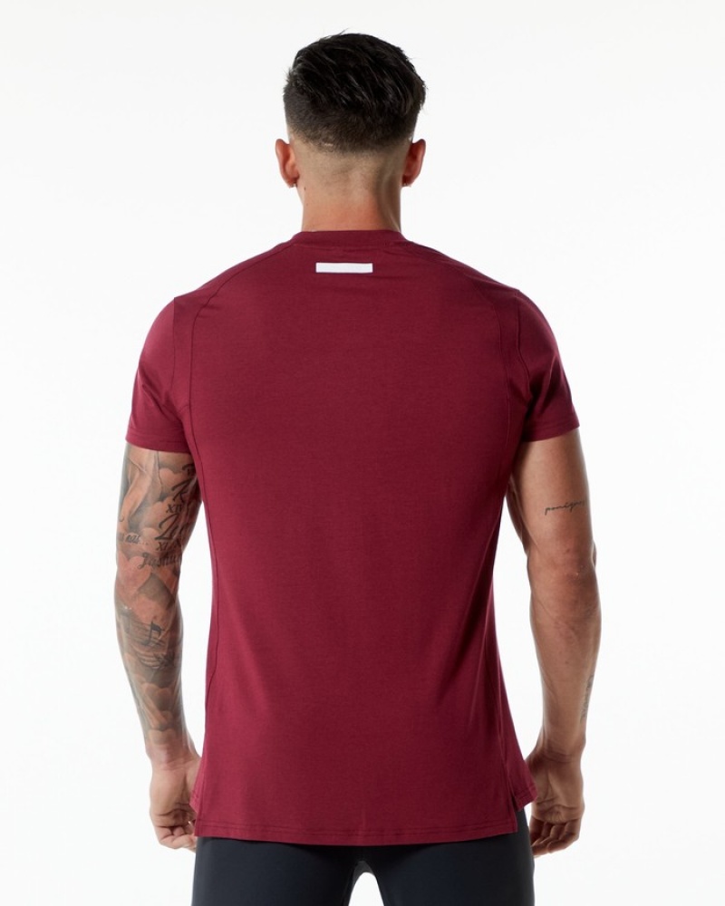 Camasa Barbati Alphalete Evo Rosii | 612834-WKT