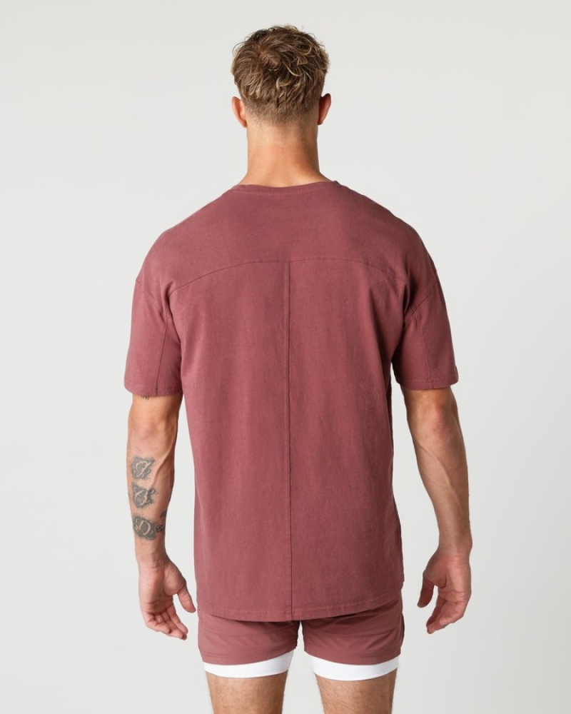 Camasa Barbati Alphalete Heavy Bumbac Core Roz | 327019-BLU